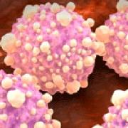 Introduction to Oncology and Cancer Treatment